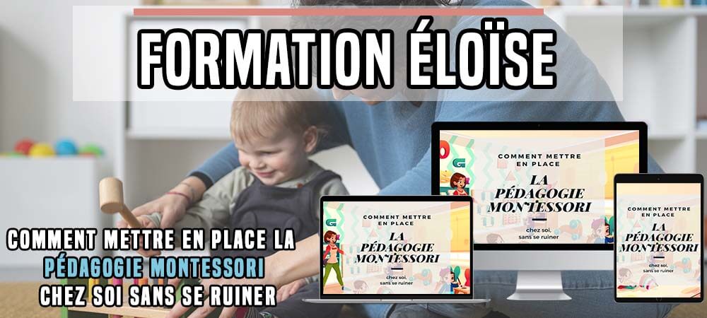 découvrez notre formation montessori en ligne, conçue pour tous ceux qui souhaitent s'initier aux principes et pratiques de cette méthode éducative unique. apprenez à accompagner le développement de l'enfant de manière respectueuse et stimulante, tout en bénéficiant de l'accessibilité et de la flexibilité de notre plateforme en ligne.