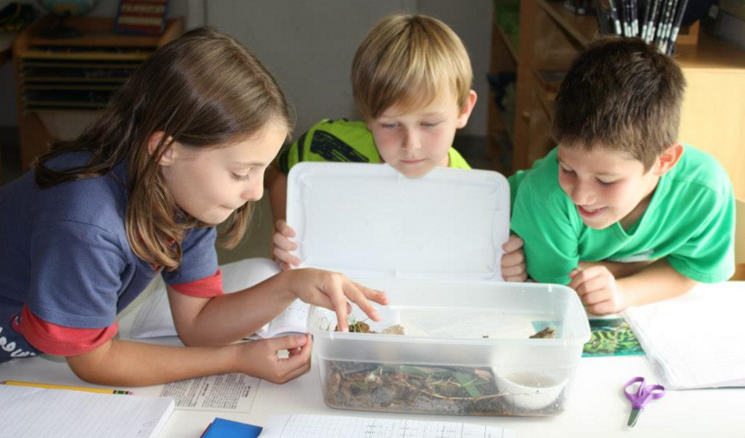 découvrez notre guide complet sur la méthode montessori, une approche éducative innovante qui favorise l'autonomie et la curiosité des enfants. apprenez à mettre en œuvre des techniques simples et efficaces pour enrichir l'apprentissage de vos enfants tout en respectant leur rythme naturel.