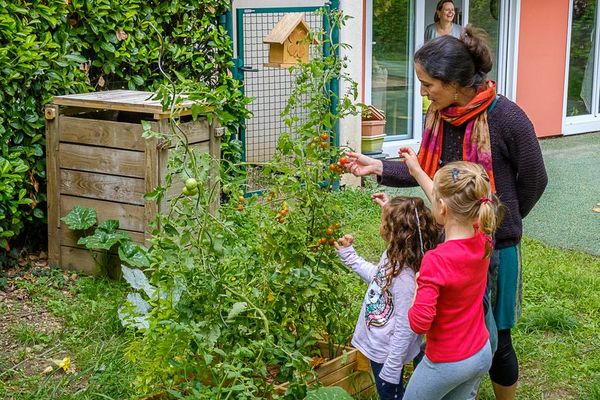 découvrez la roseraie montessori, un espace magique dédié à l'apprentissage des enfants à travers la nature. offrez à vos petits explorateurs une expérience immersive où ils peuvent apprendre tout en s'amusant, cultivant leur curiosité et leur sensibilité envers les plantes.